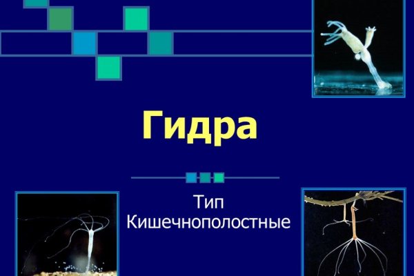 Через какой браузер можно зайти на кракен