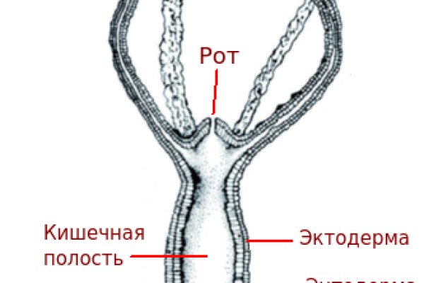 Kraken сайт вход