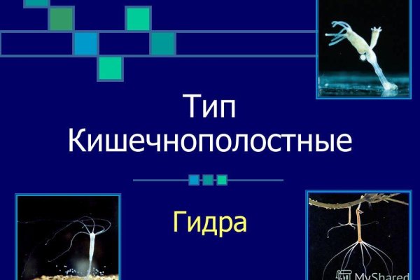 Кракен мониторинг ссылок kraken torion