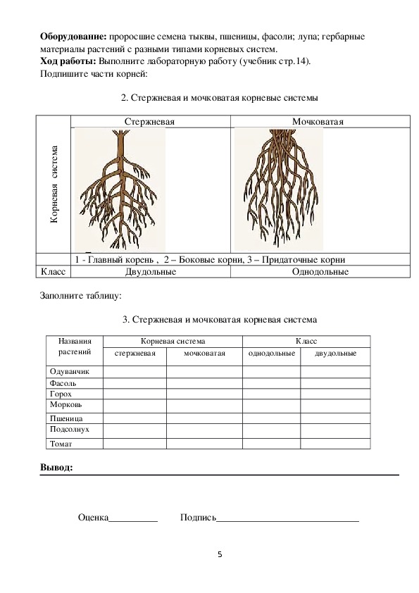 Kraken darknet ссылка